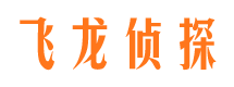 芒康寻人公司